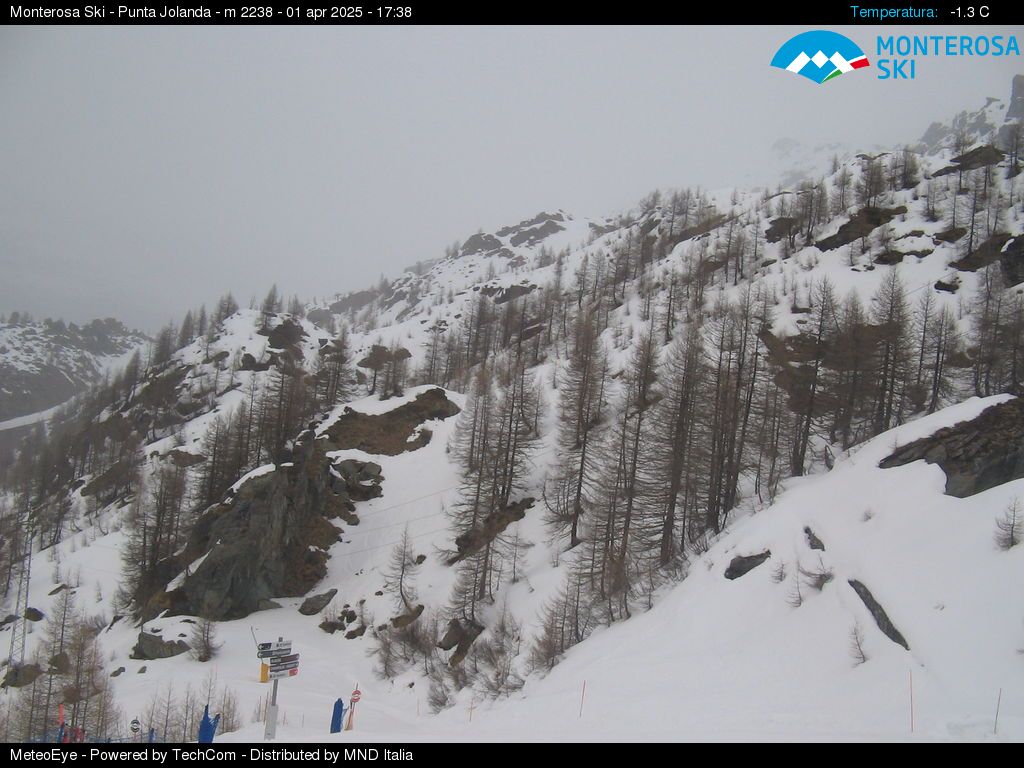 Monterosa Gressoney la Trinite webcam - Punta Jolanda 2.238 m